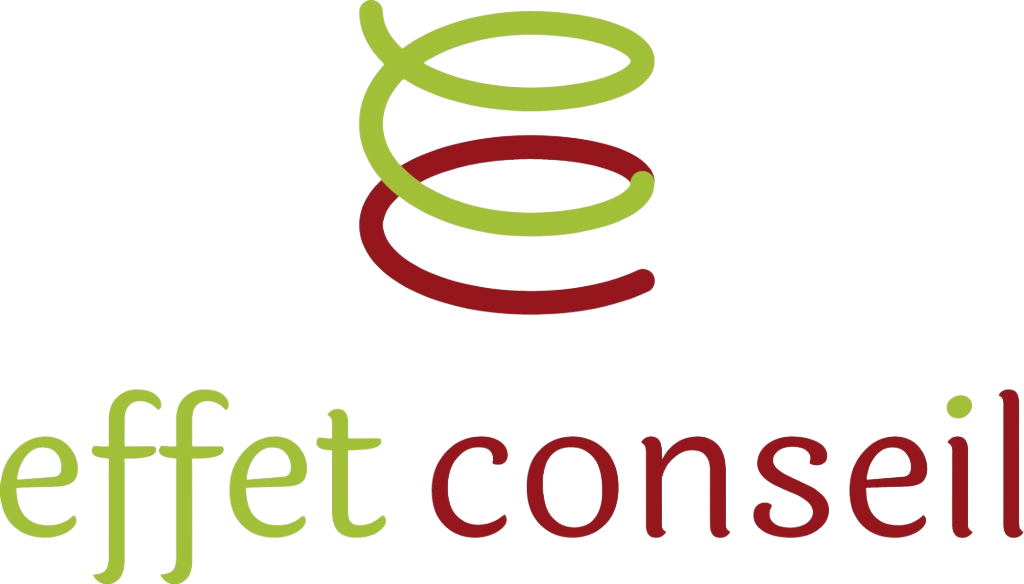 Logo Effet Conseil – Cabinet de conseil en formation professionnelle